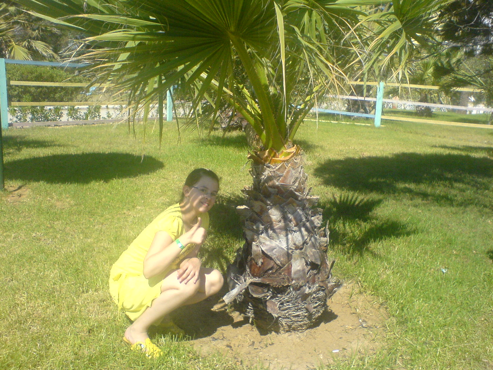 pri palme v ZOO