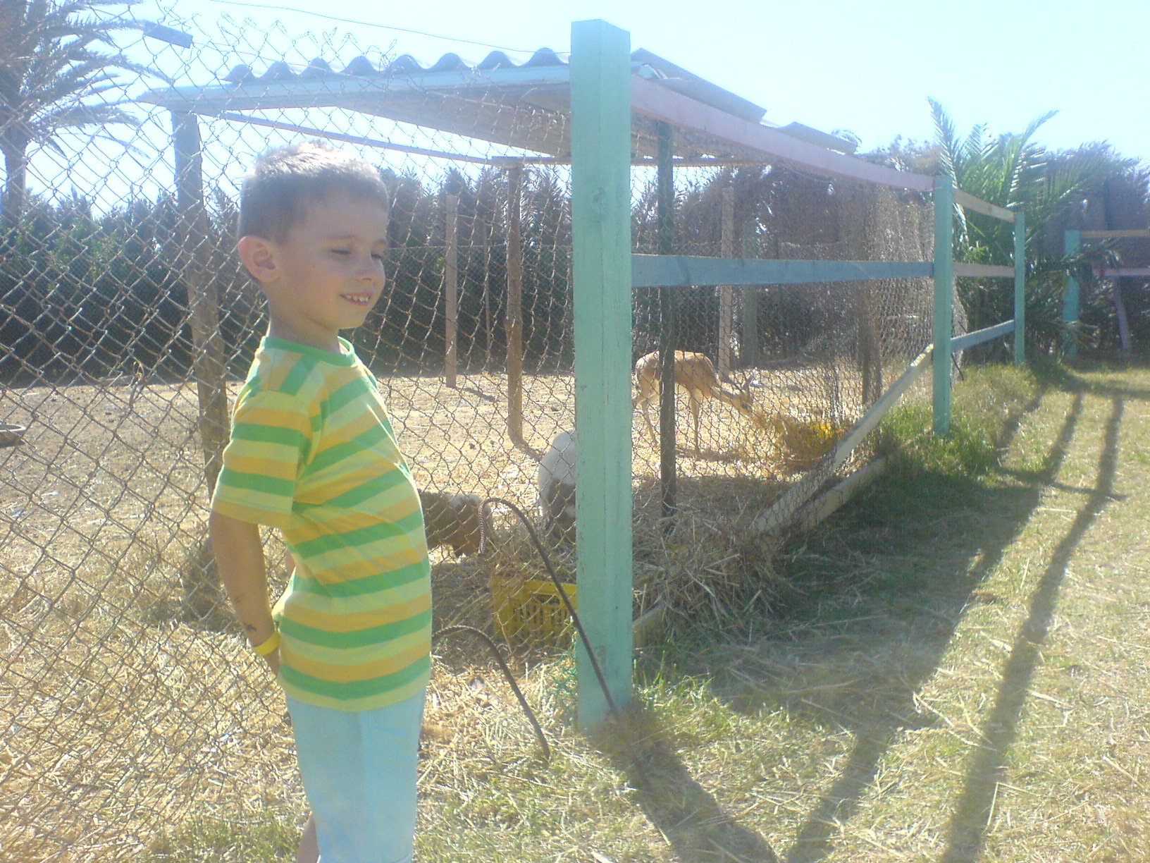 zoo park