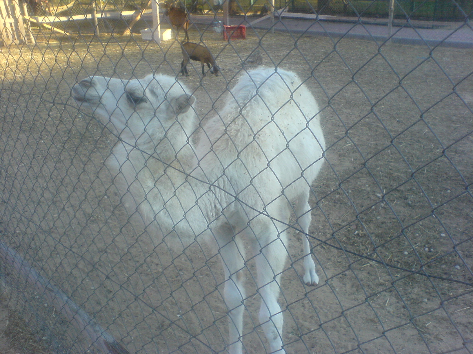 DSC01127.JPG